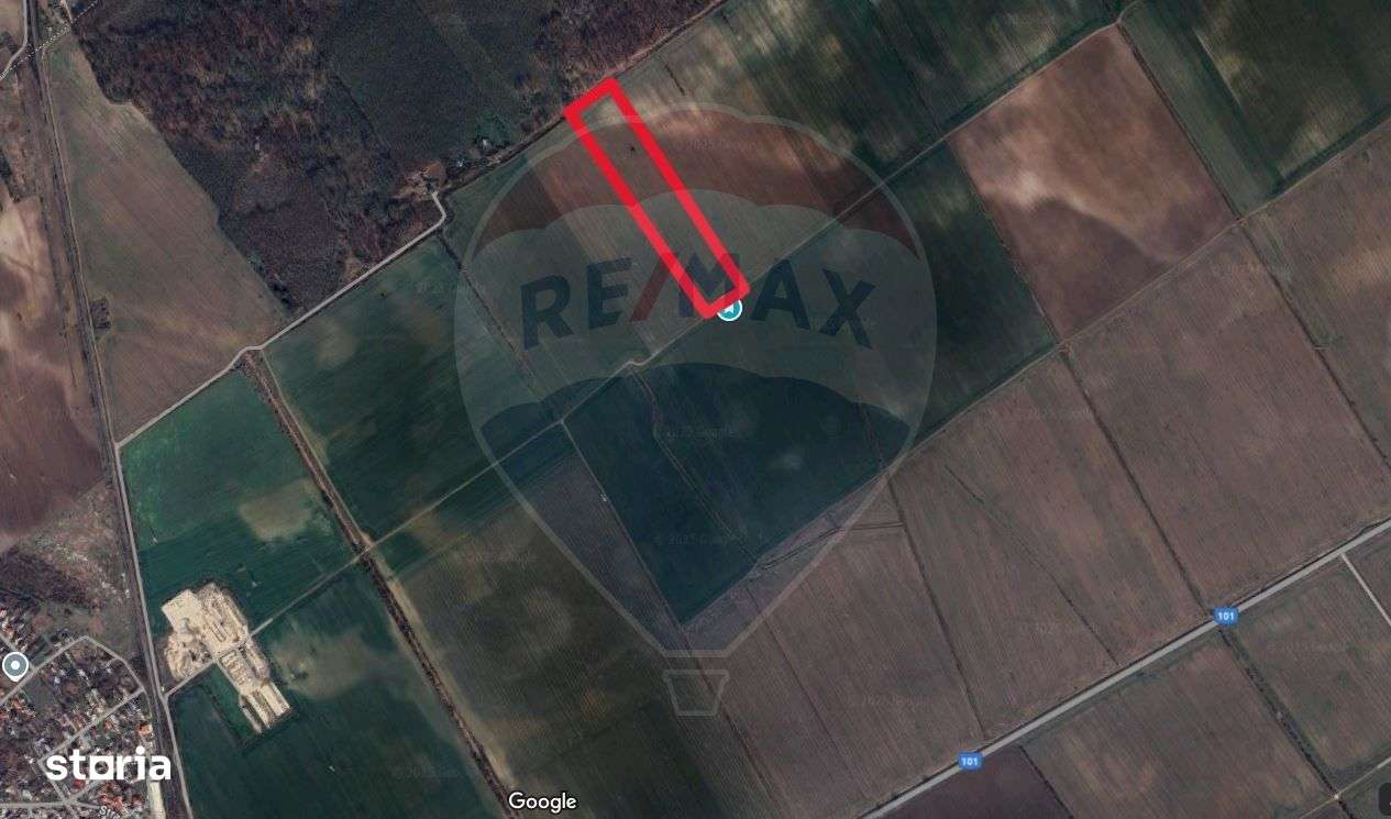 Teren intravilan Buftea, langa Padurea Mocanului - Imagine principală: 4/5