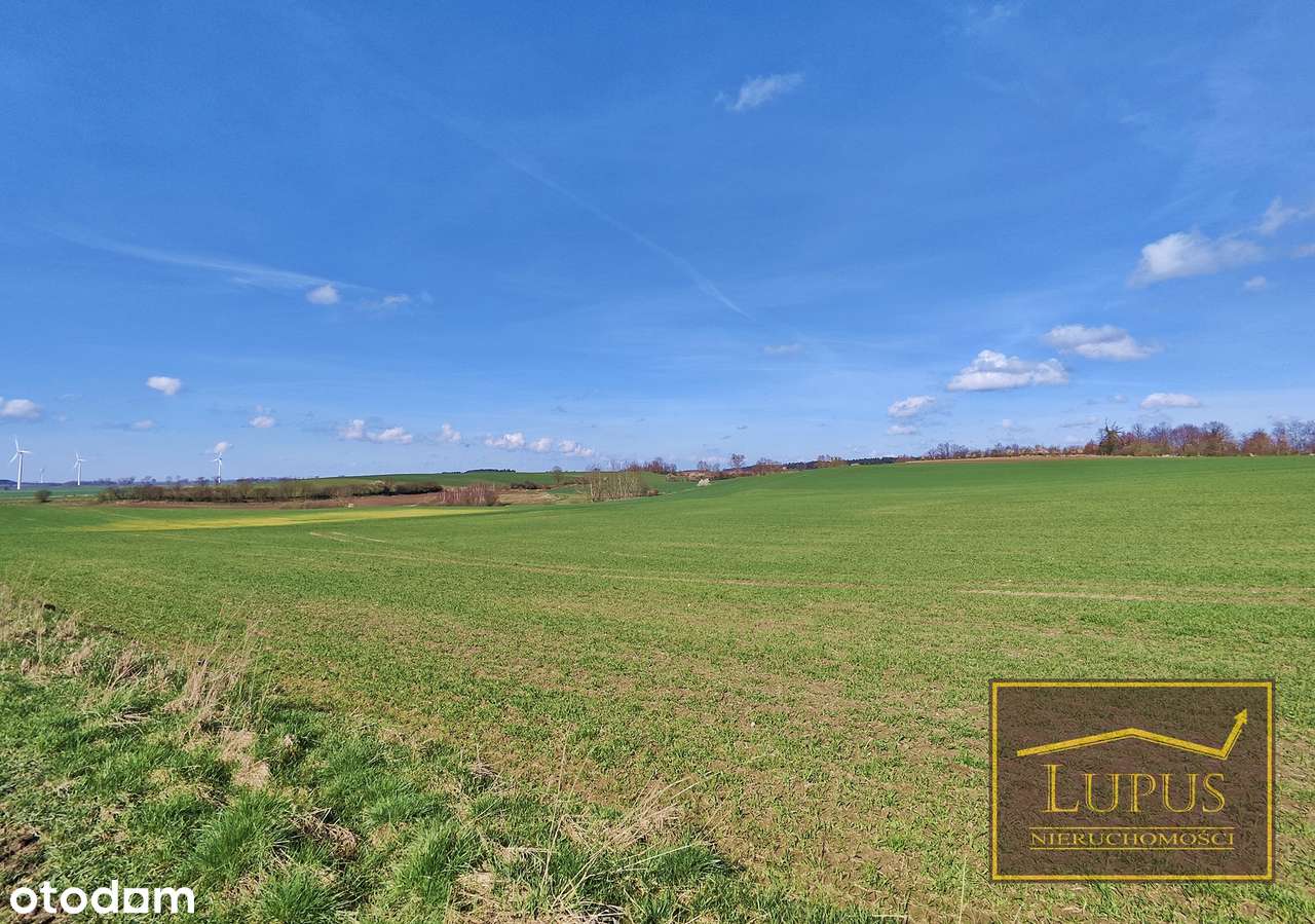 Działka na sprzedaż w Słodkowie - Pełny obrazek: 5/13