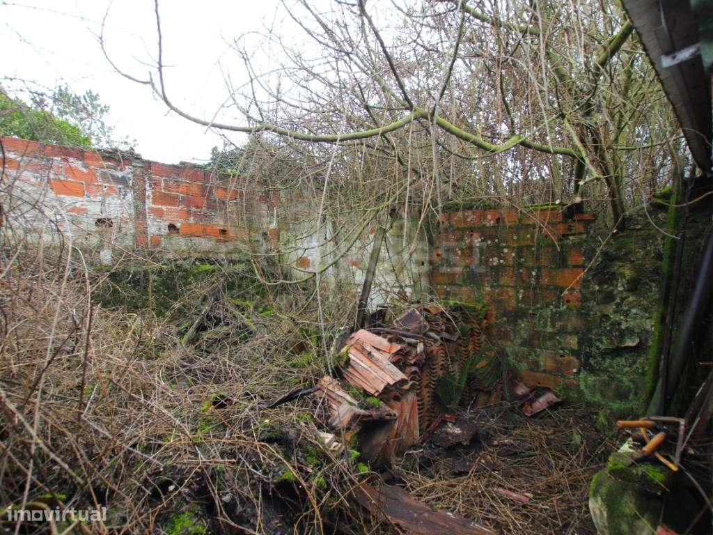 2 Casas de aldeia T2 + ruina + com terreno em Rio Maior - Grande imagem: 5/12