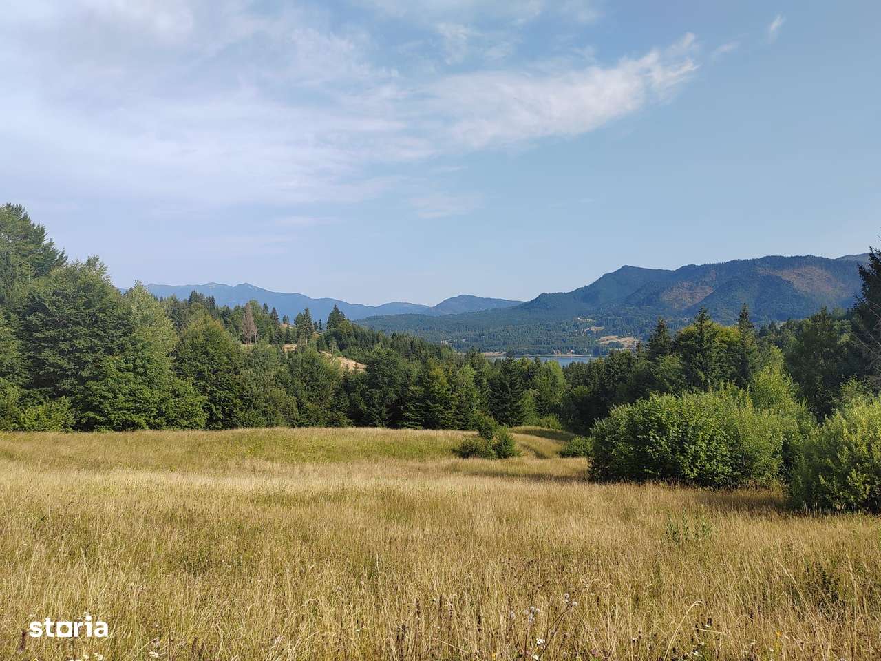 teren Colibita - 2 hectare - acces direct din drumul 173 D-3