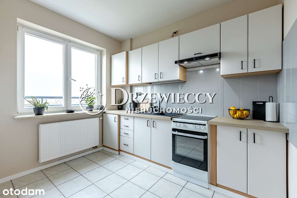 Studio niesamowity widok las – obok parku-6