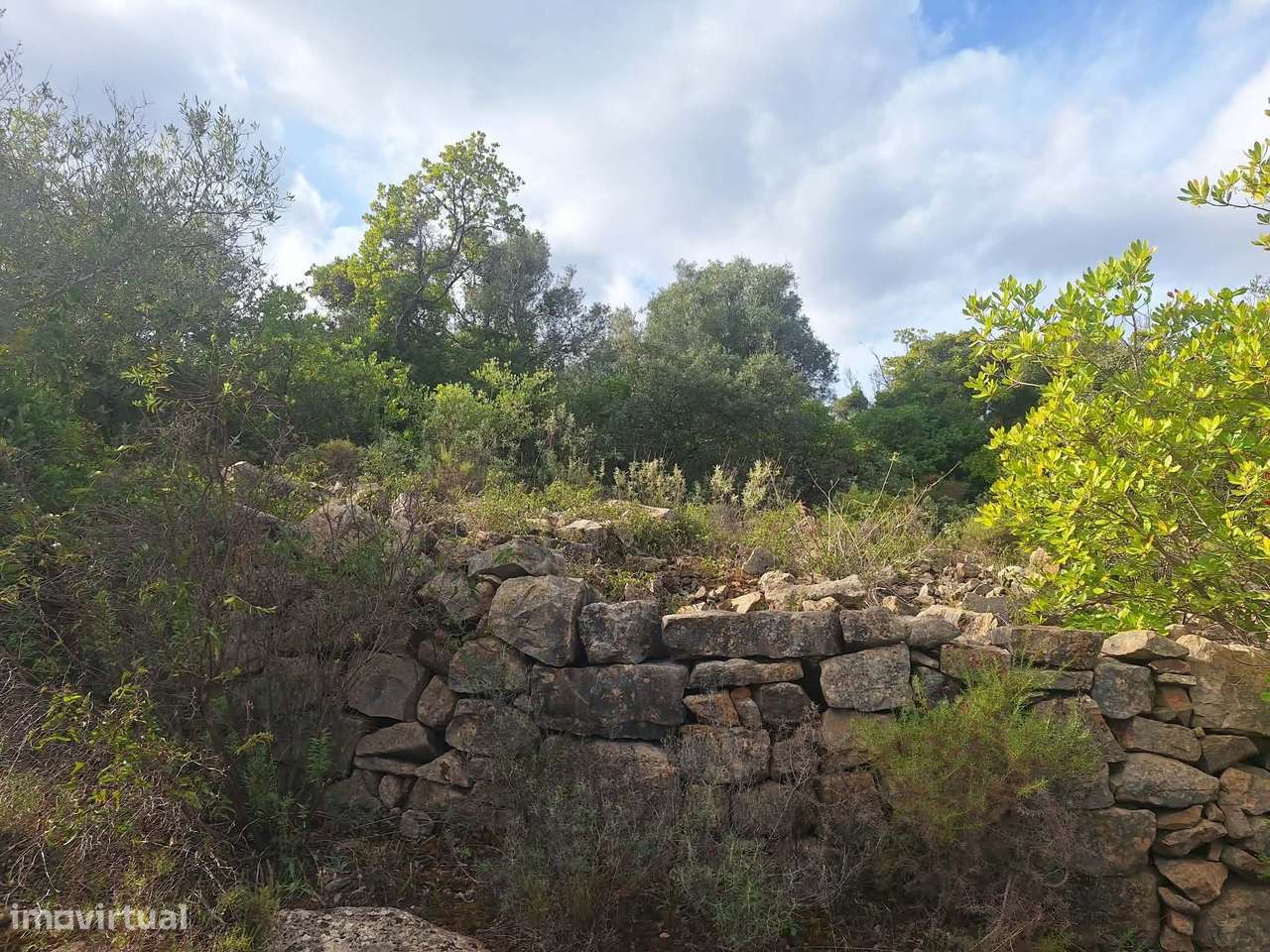 Terreno no Ruína no concelho de Faro-5