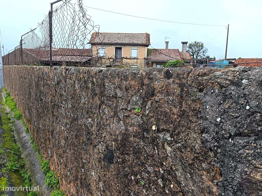 Terreno para Venda - Albergaria -a - Velha / Branca - Grande imagem: 2/20