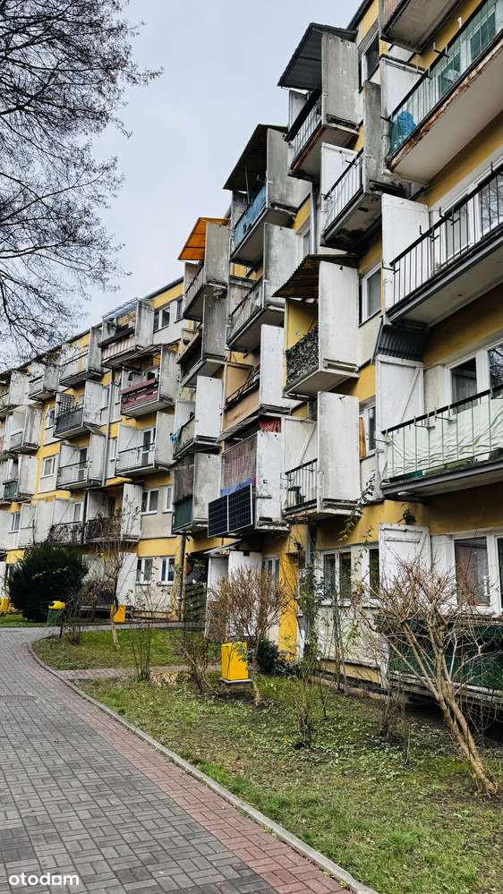 LSM | Kawalerka | Po remoncie | Wynajmowana | Blisko Uczelni-8