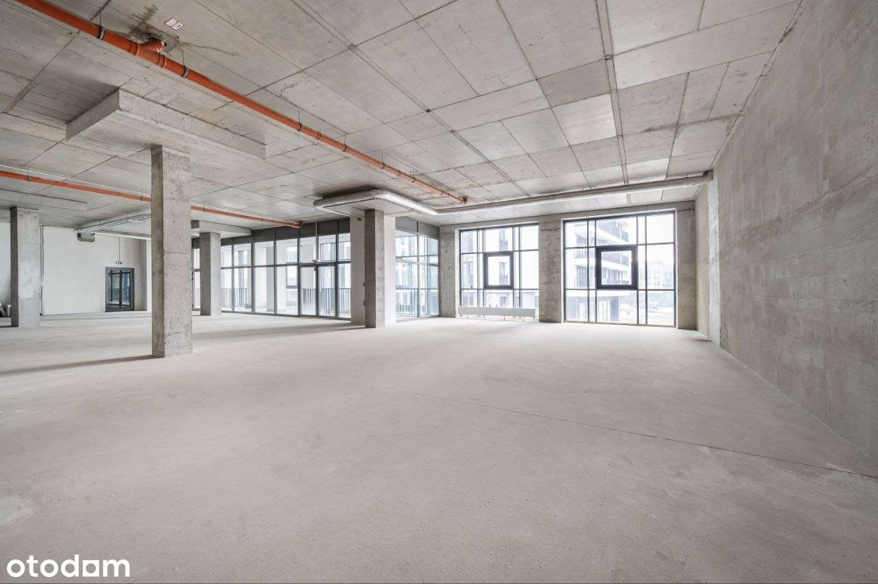 265m absolutnego premium w Illumino - Pełny obrazek: 3/9