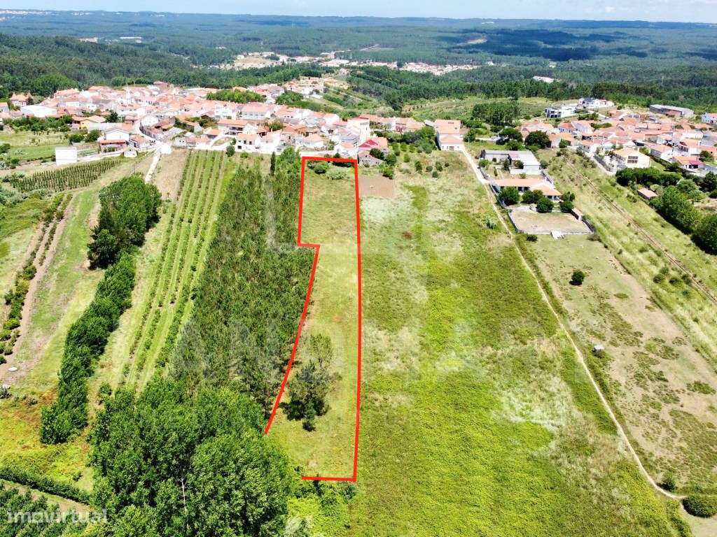 Moradia T2 para restaurar - Montes - Grande imagem: 5/5