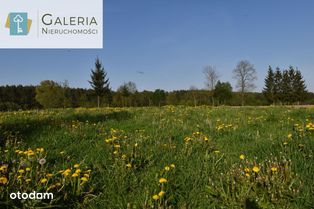 Malownicza działka w otoczeniu lasów- Aniołowo