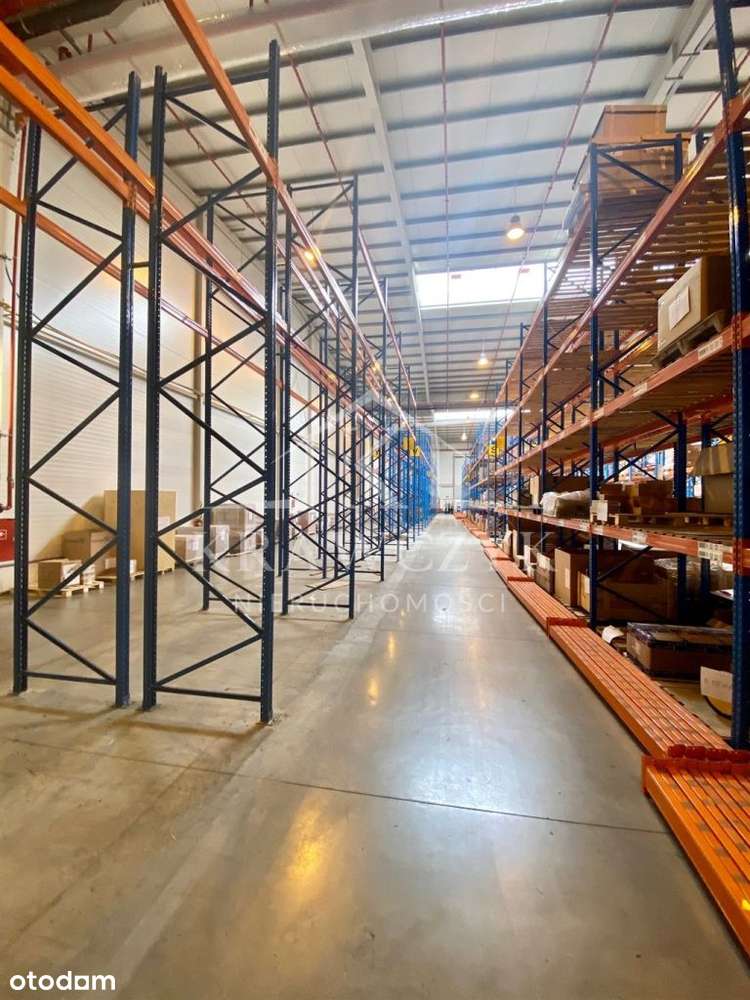Hala Magazynowo-Biurowa - Nowoczesna - Pełny obrazek: 4/12