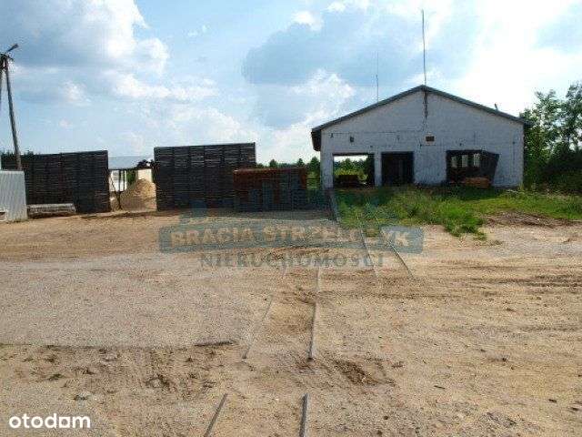 Lokal użytkowy, 4 500 m², Przasnysz - Pełny obrazek: 4/13