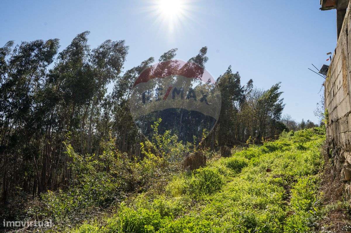 Terreno  para venda - Grande imagem: 3/13