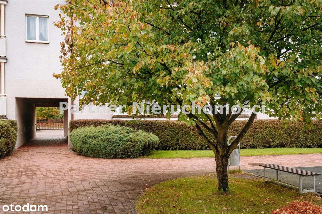 Dwa rozkładowe pokoje i odzielna kuchnia, polecam!-8