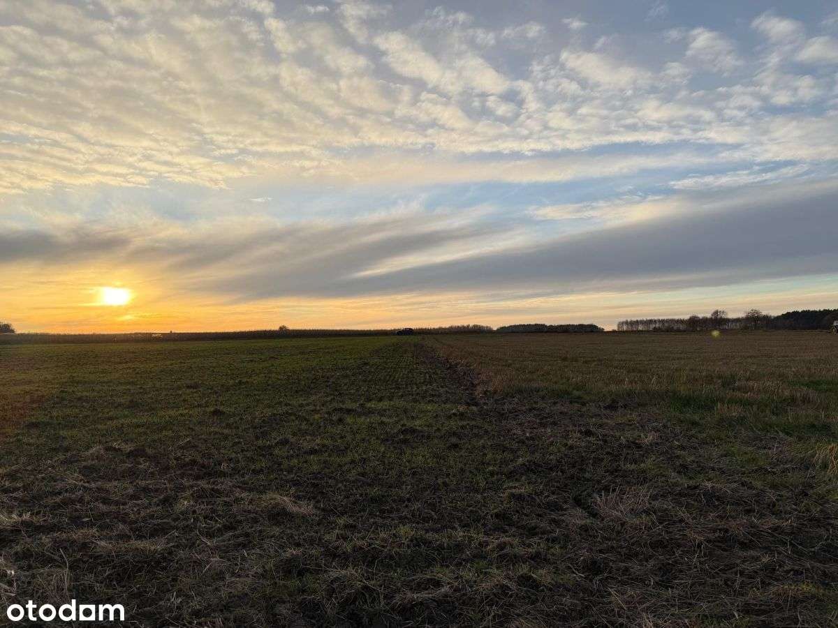 Działki rolne na sprzedaż | bliskość rzeki-10