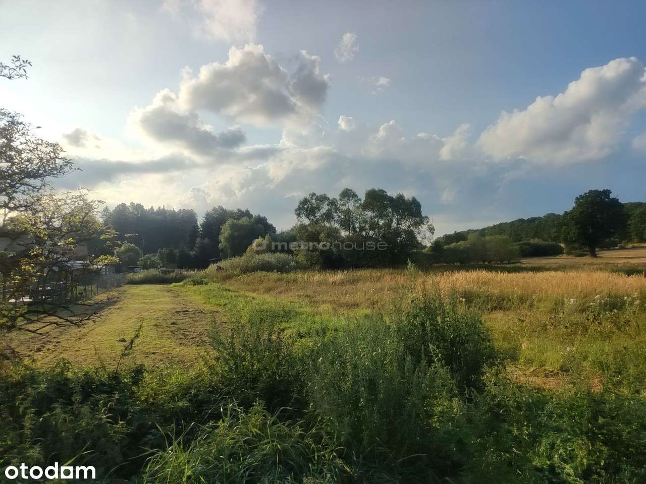 Działka budowlana na Wolanach niedaleko Polanicy-5