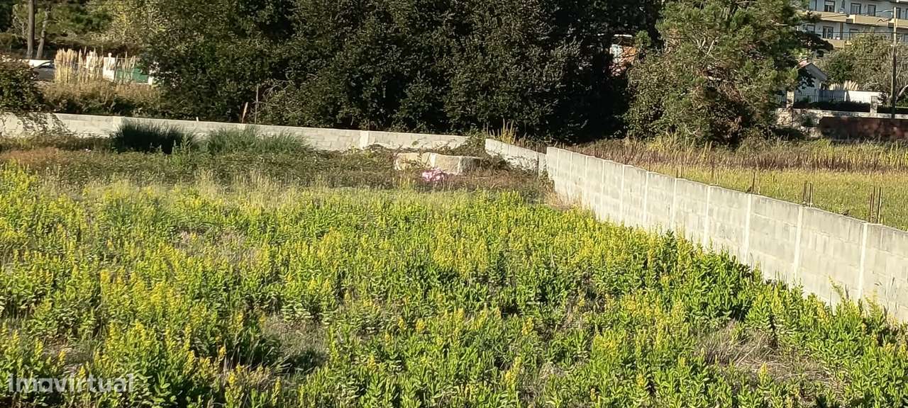 Terreno urbanizável, em zona calma em Pataias-6