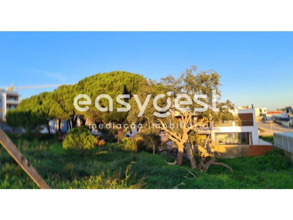 Terreno Quinta da Amizade com projeto aprovado para Moradia T3 - Grande imagem: 4/15