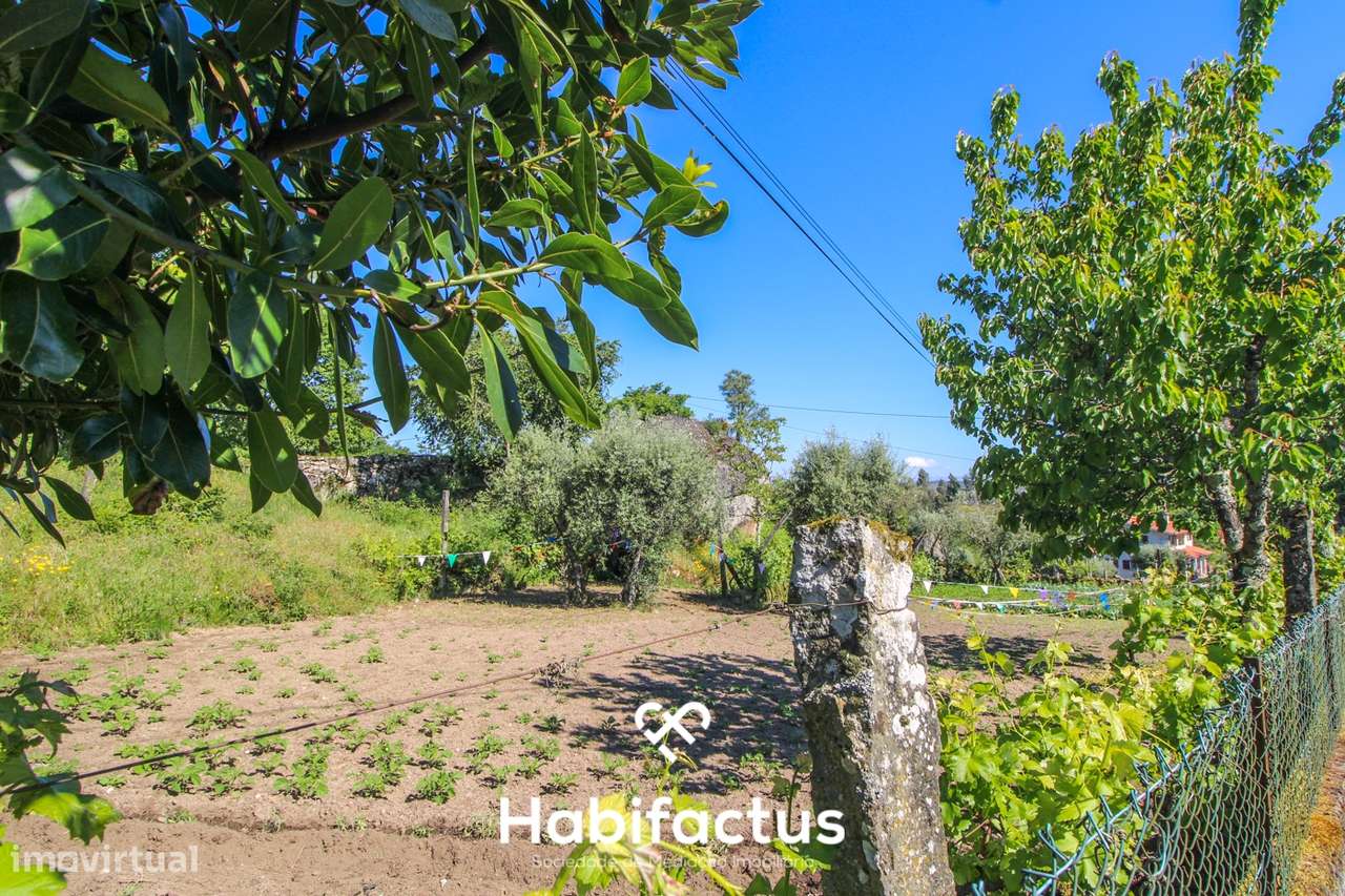 Terreno para construção em Póvoa de Bodiosa - Grande imagem: 3/12