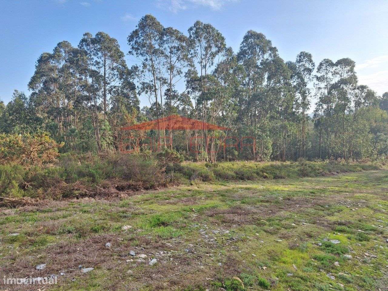 Terreno com 5 700 m2 na Quinta da Lousa em Valongo - Grande imagem: 5/9