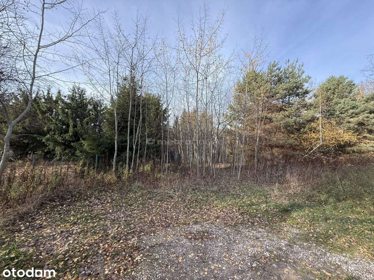 Ekskluzywna działka bud. w kameralnej okolicy lasu-3