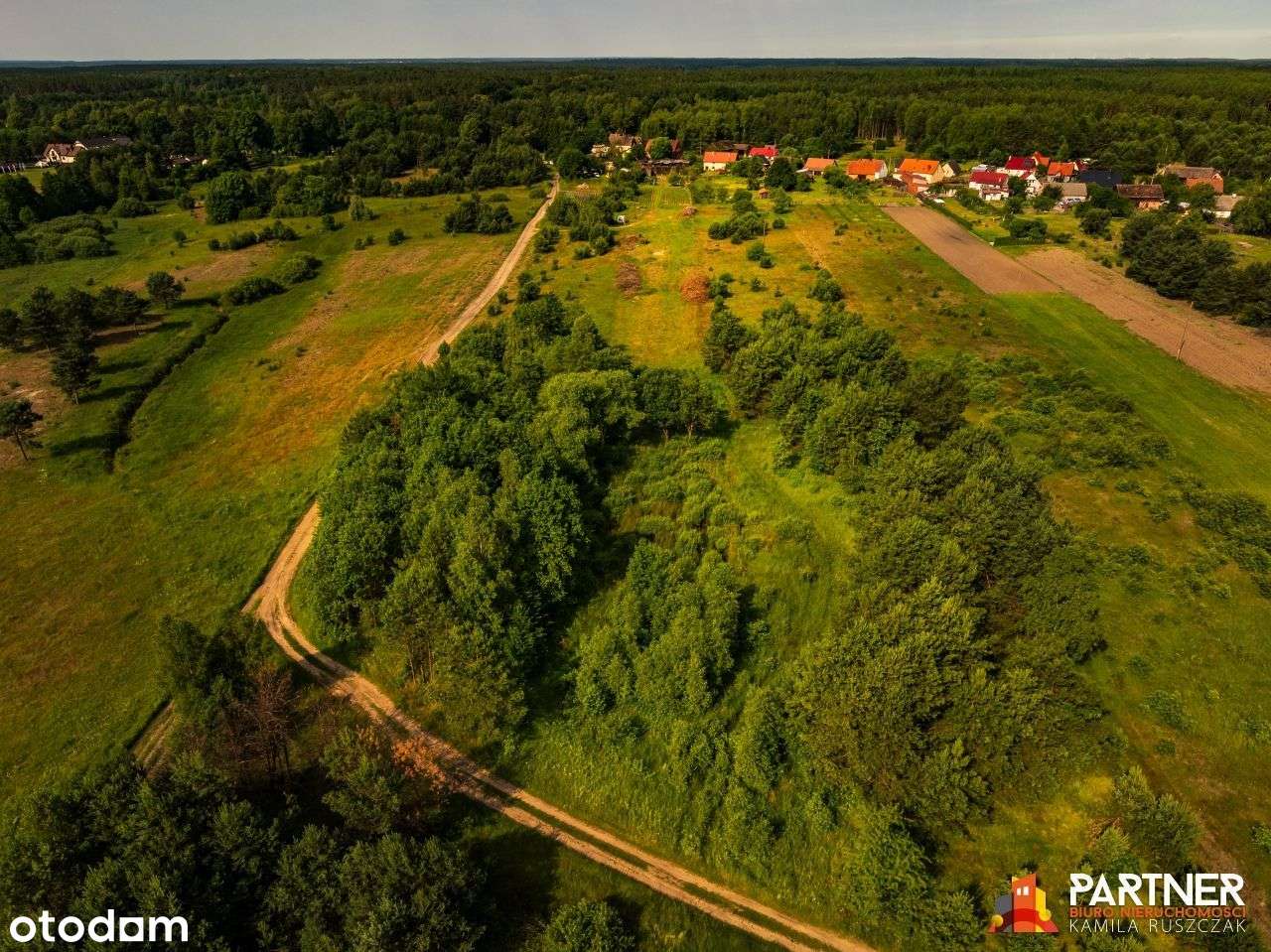 Siedlisko na dużej działce w Wygonie - Pełny obrazek: 4/20