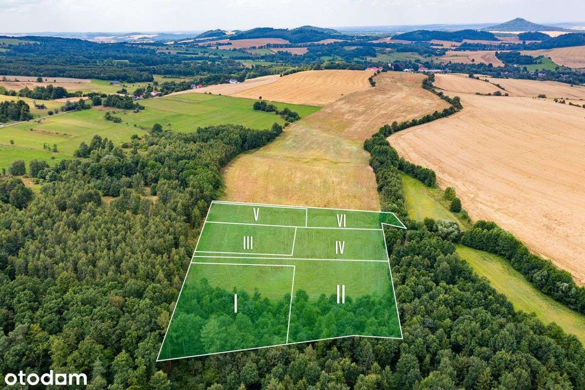 Działki rolne w Rząśniku, gm. Świerzawa, widok gór-3