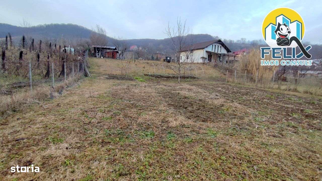 Valea Budului, jud Bacau, teren intre case, situat la poala padurii - Imagine principală: 5/10