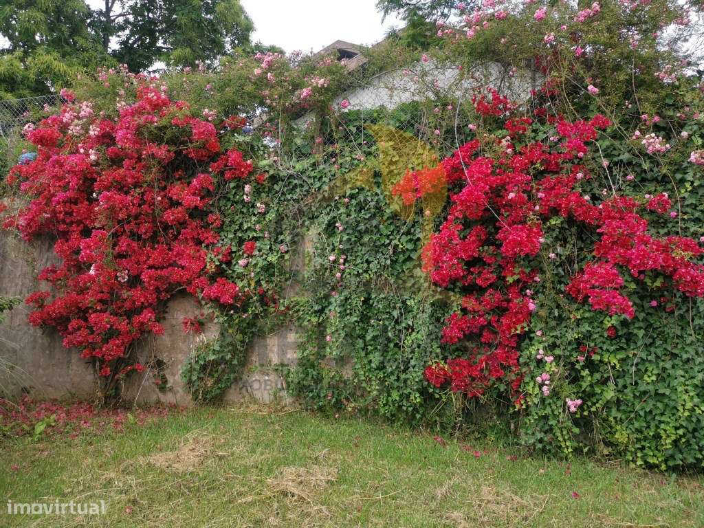 Quinta de Luxo-25