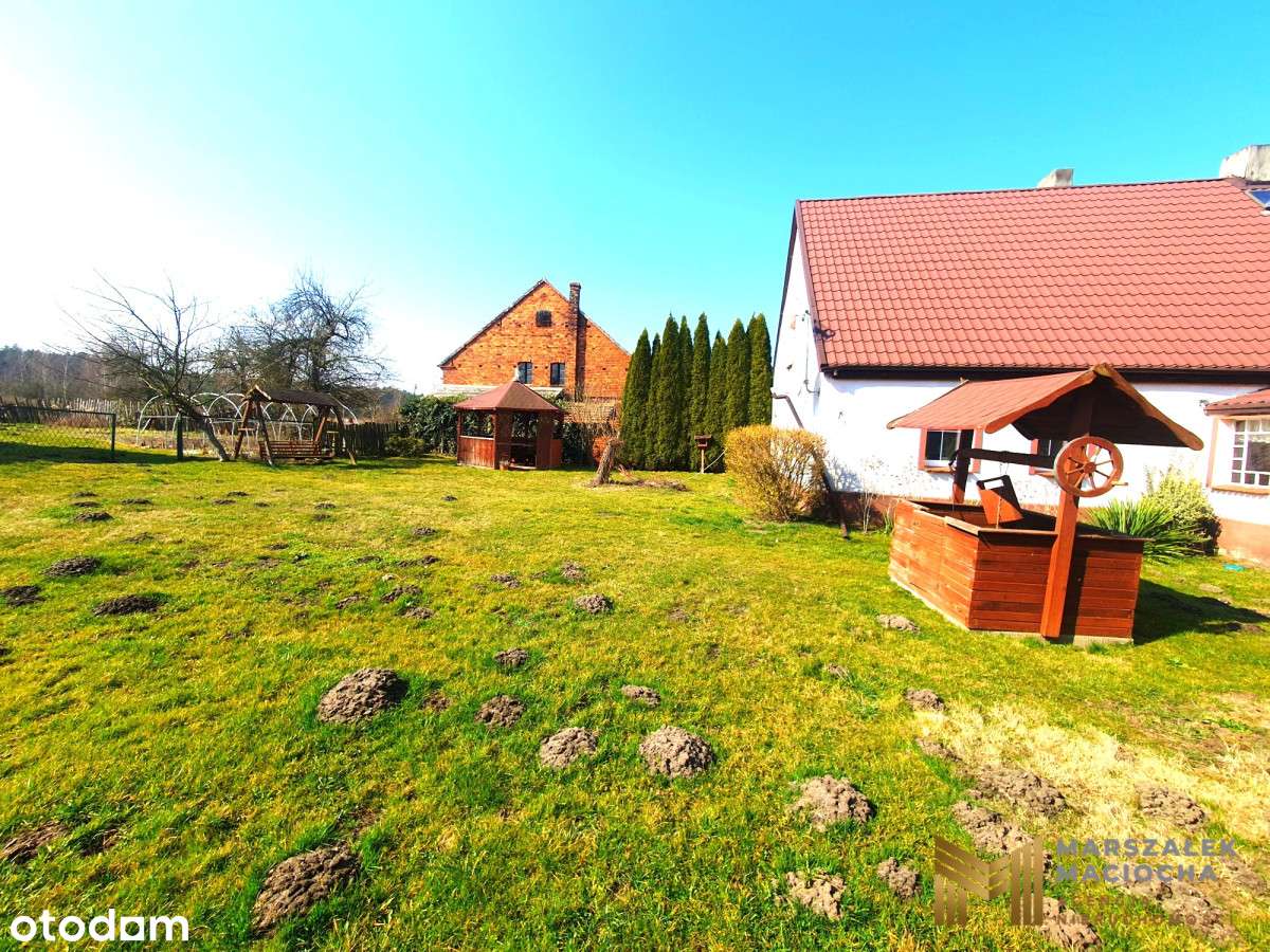 5200 m2 z domem i zabudowaniami, Kozowo, okazja! - Pełny obrazek: 5/17