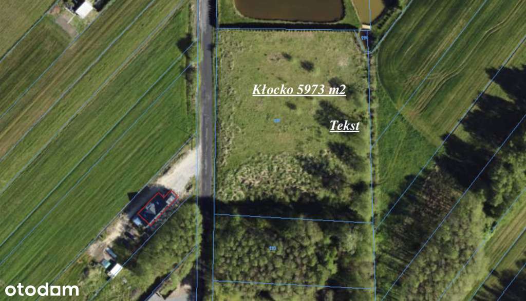 Kłocko duża działka 5973 m2 inwestycyjna-budowlana - Pełny obrazek: 3/3