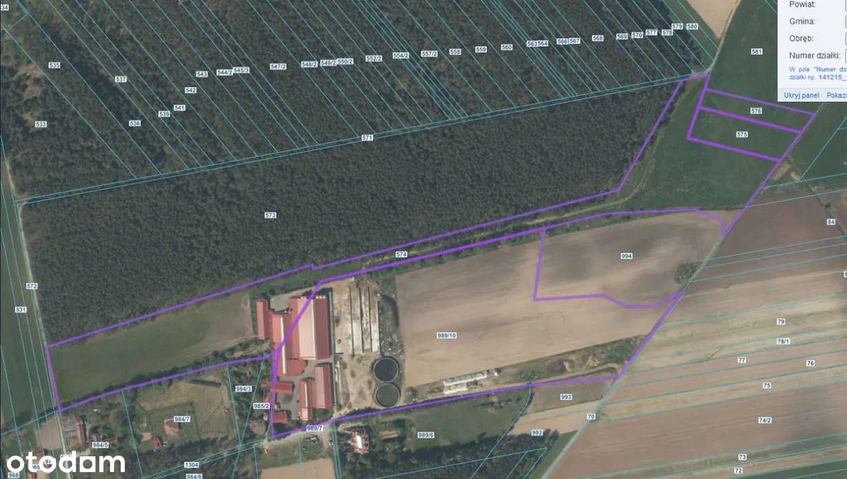 Duże gospodarstwo hodowli bydła PRZETARG-4