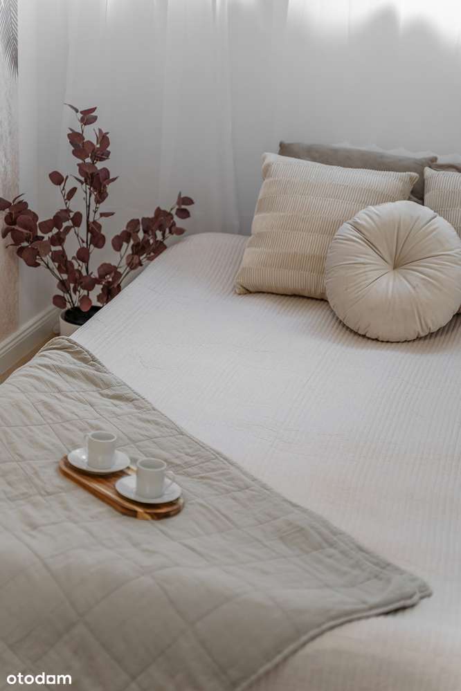 Rozkładowe 3 pokoje | osobna kuchnia | Grunwald | bez prowizji-5