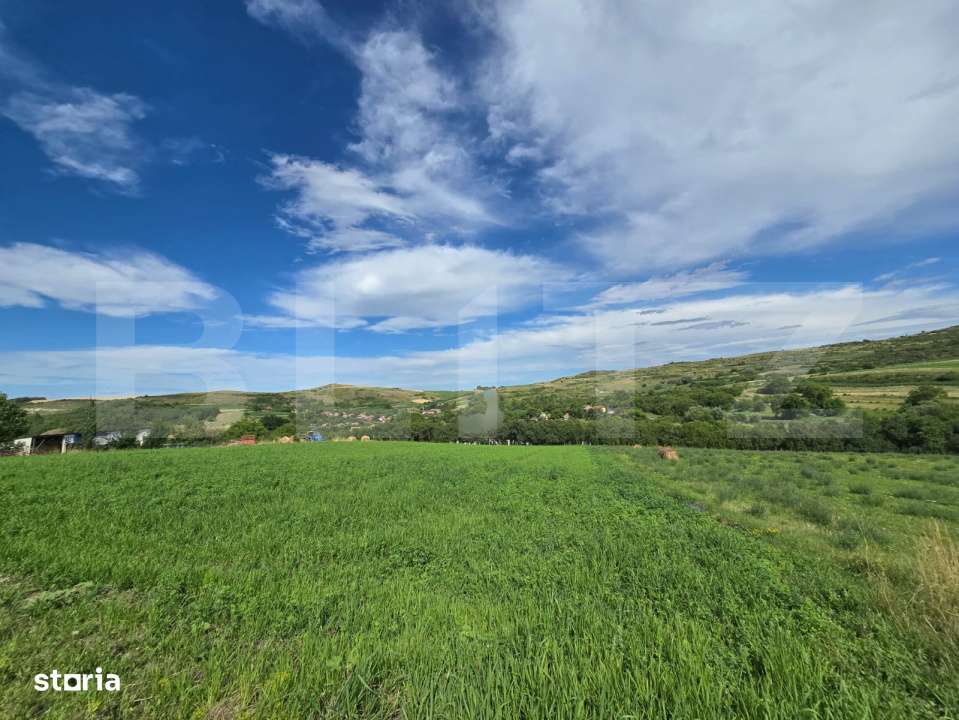 Teren intravilan, construibil in MACICASU , 3 KM de la Chinteni. - Imagine principală: 2/7