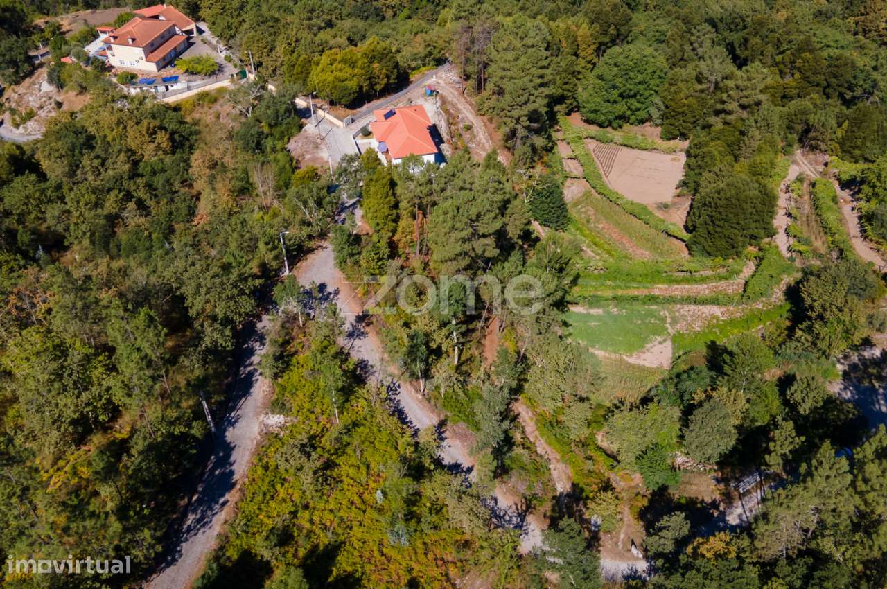 Terreno Rústico em Gatão, Amarante. - Grande imagem: 4/22
