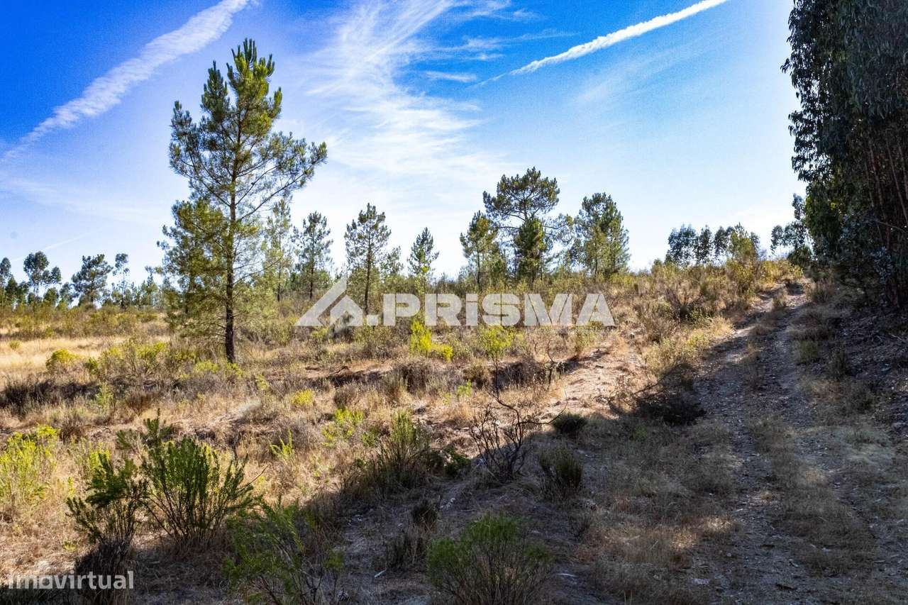 Terreno Rústico para venda em Palvarinho, Castelo Branco - Grande imagem: 4/19