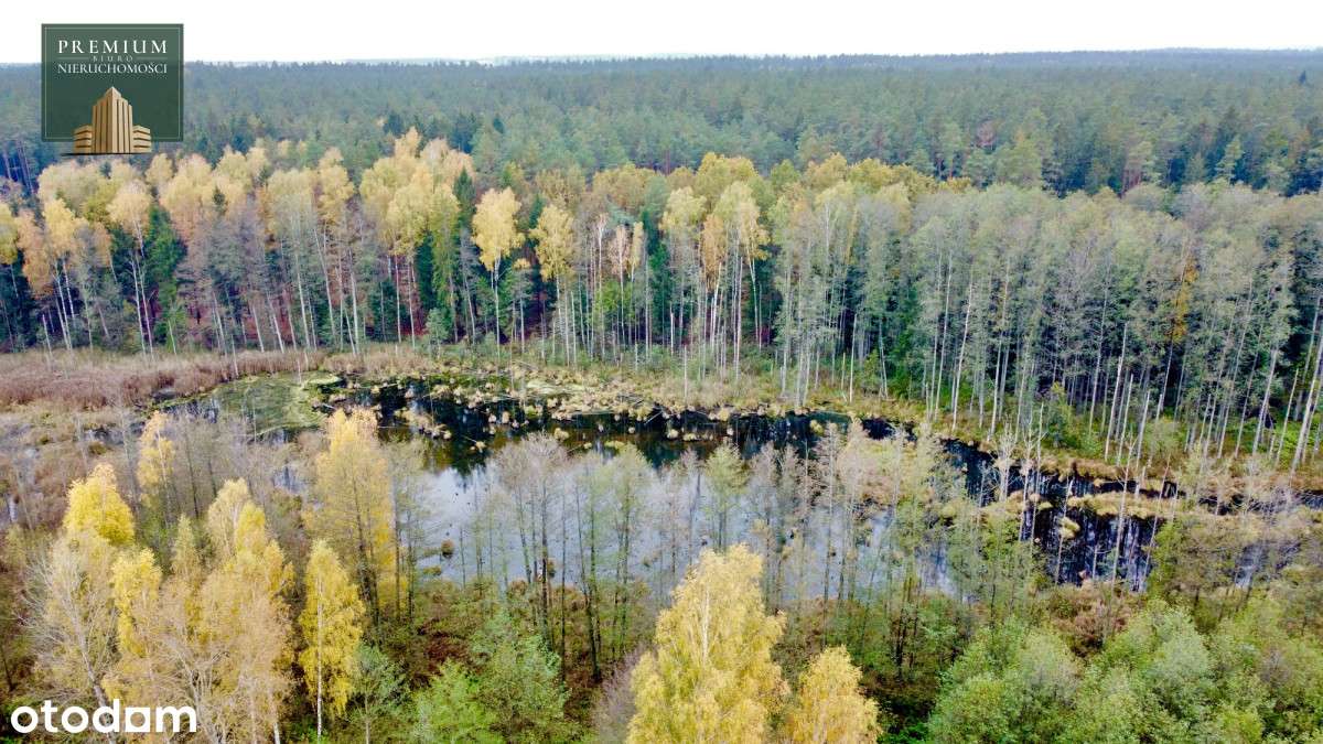 Działka z WZ z własnym lasem i linią brzegową!-3