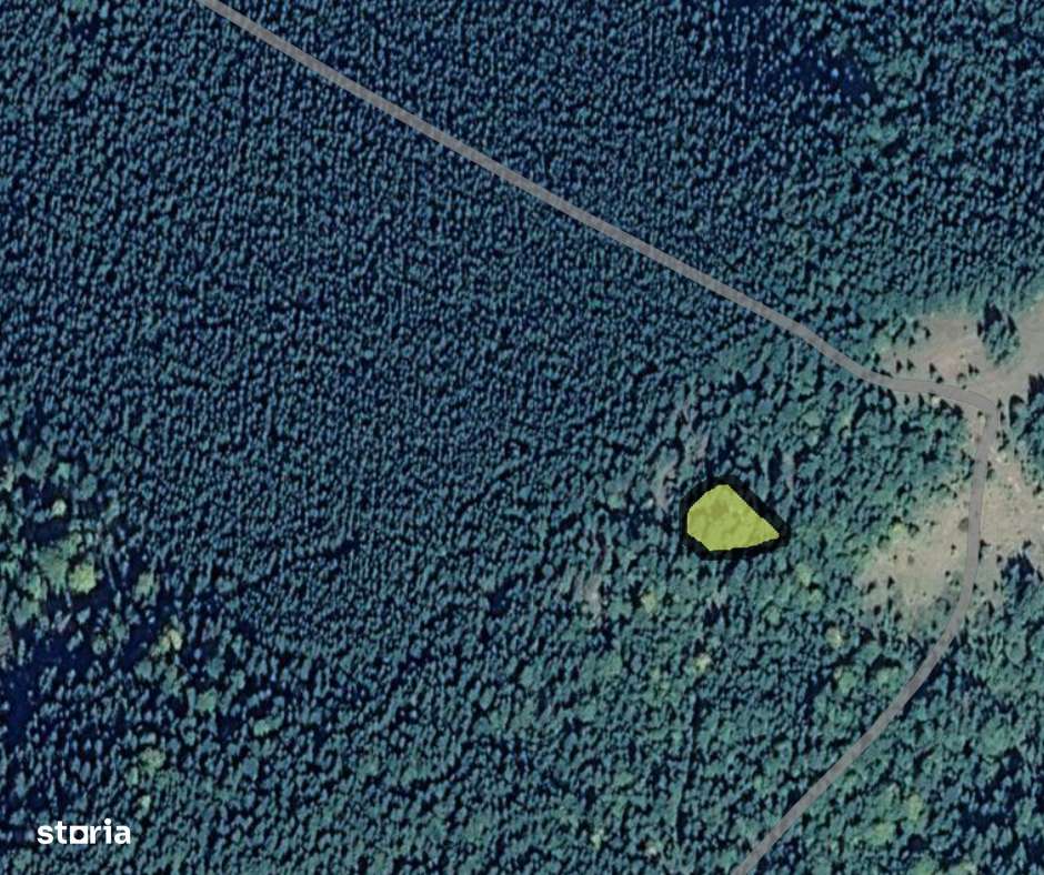 Teren Intravilan Pajiste si Padure-2