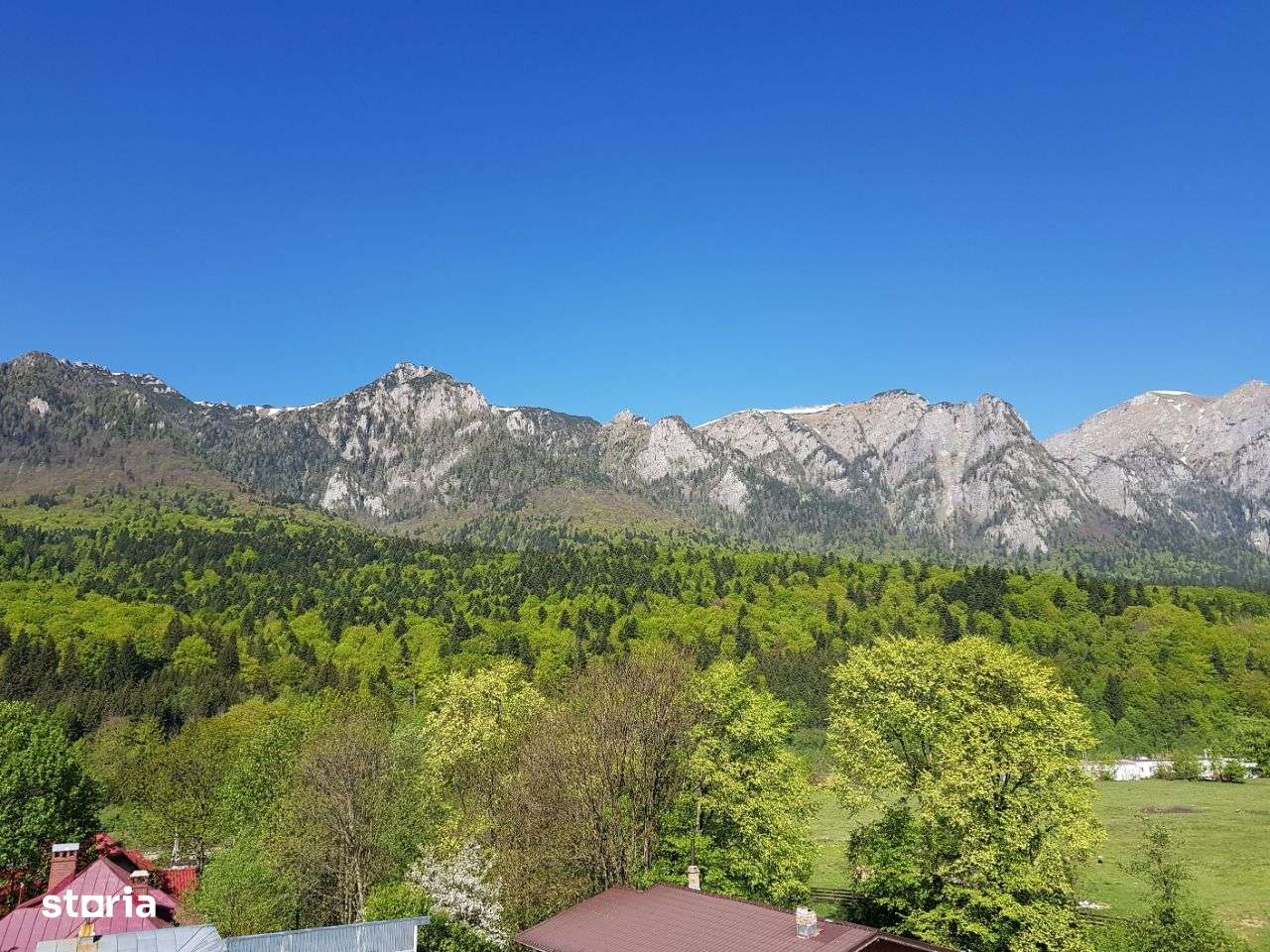 Apartament cu vedere la munte de vanzare in Busteni - INVESTITIE-4