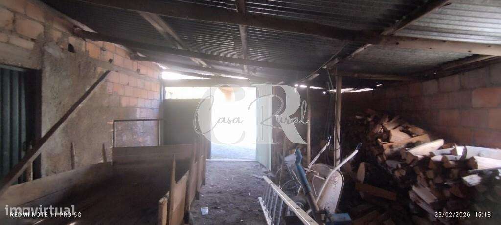 Moradia T3 com vários anexos, terreno e poço-37