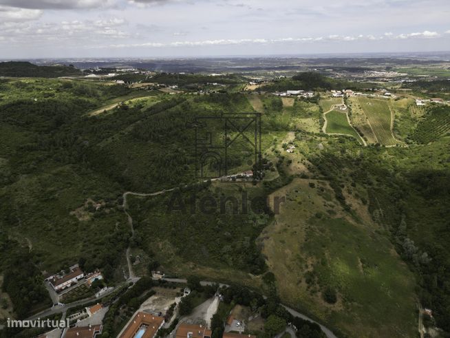 TERRENO MISTO COM 48Ha EM ALENQUER!-21