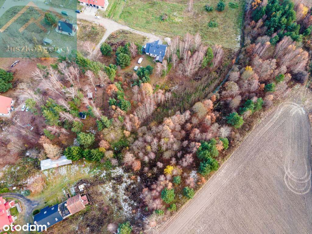 Wójtowo. 1347m2 działki objętej miejscowym planem. - Pełny obrazek: 5/6