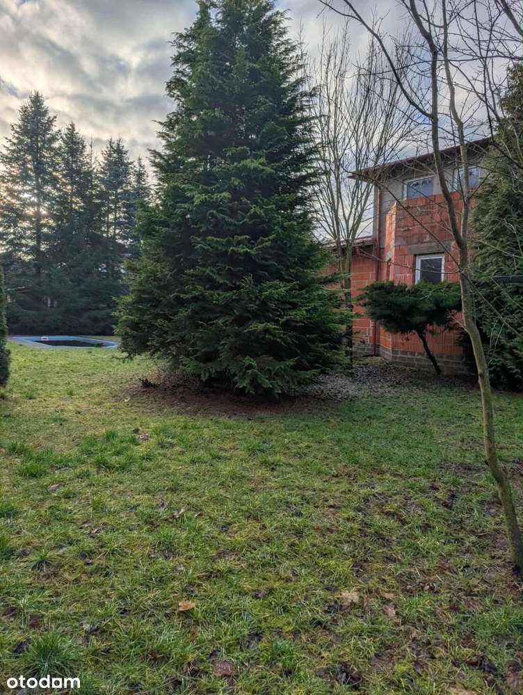 Dom z charakterem- masa możliwości ZadzwoŃ-13