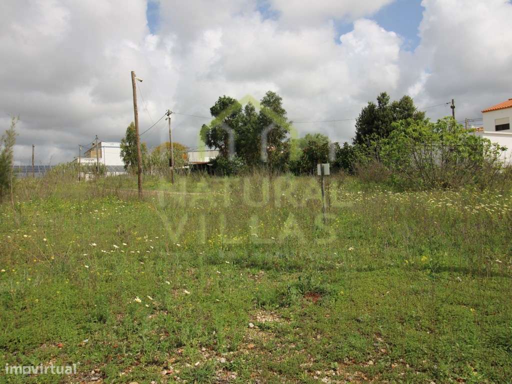 Terreno com Viabilidade Construtiva, Conceição de Faro - Grande imagem: 4/8