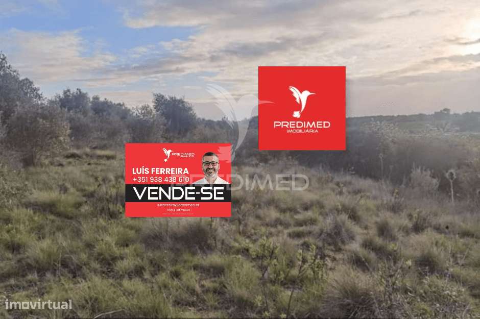 Terreno rústico, Zibreira / Torres Novas - Grande imagem: 4/19