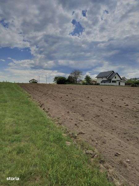 Teren intravilan 8600mp - Imagine principală: 4/5