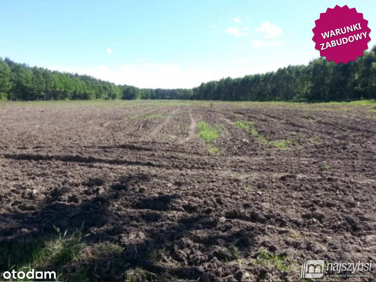 Działki w okolicy Kamienia Pomorskiego -8 ha