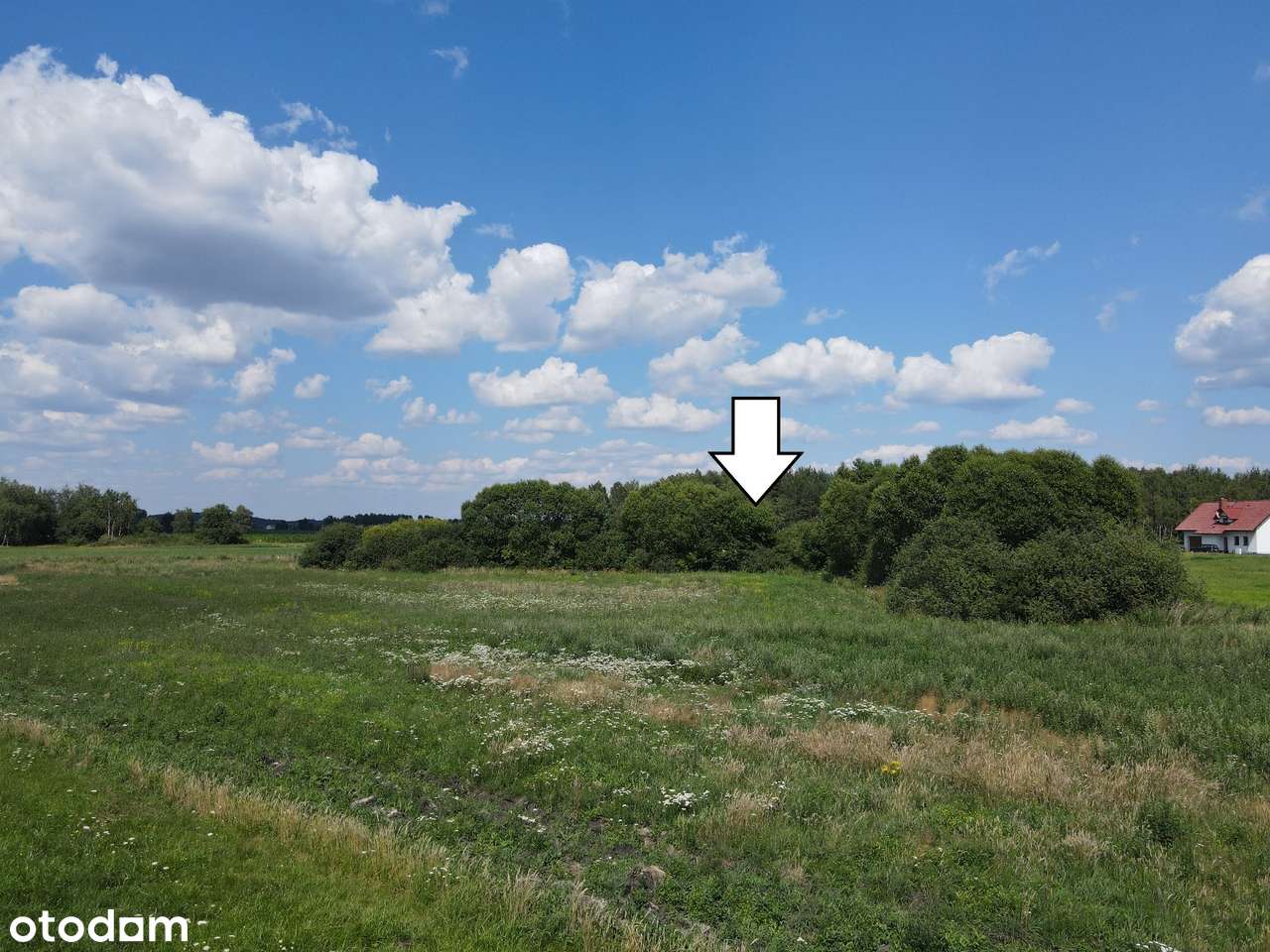 Działka nieopodal lasu i Szubina - Pełny obrazek: 5/11