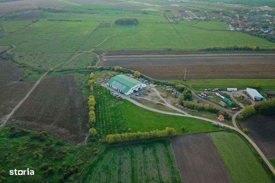 Gaminvest Hala industriala de vanzare in Biharia,Bihor, Romania,V3046 - Imagine principală: 5/19