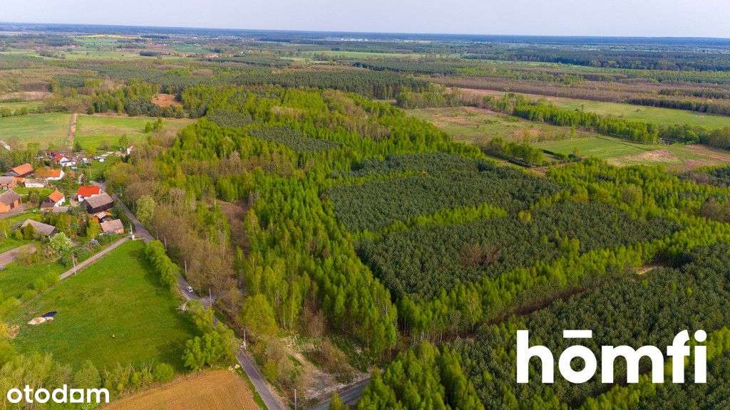 Duża działka z potencjałem, cisza i spokój-Jaźwiny - Pełny obrazek: 3/14