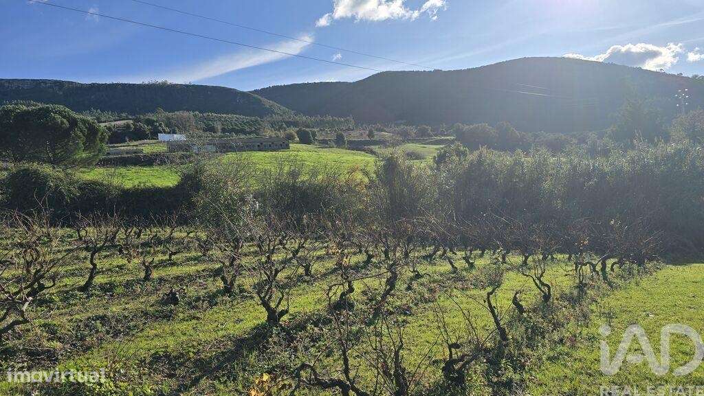 Terreno para construção em Lamas e Cercal - Grande imagem: 5/10