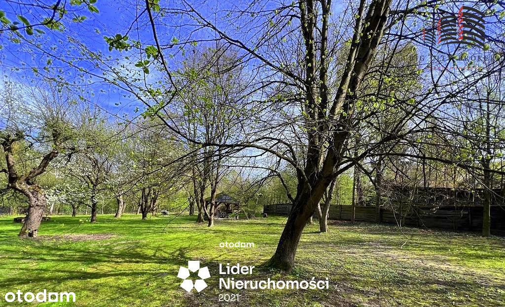 Klimatyczne miejsce w Kazimierzu Dolnym nad Wisłą