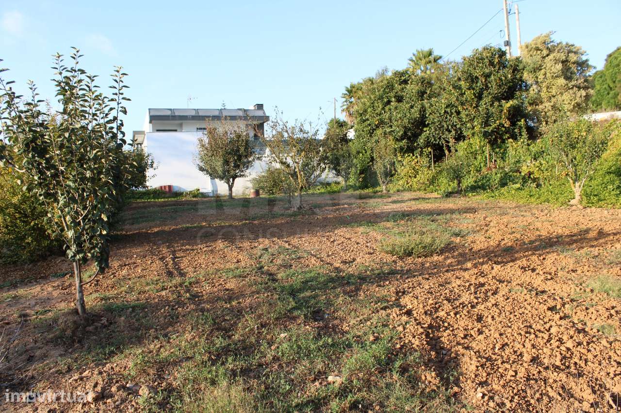 Terreno para Moradia T4 com Projeto Aprovado e Anexos | Lourinhã - Grande imagem: 5/16